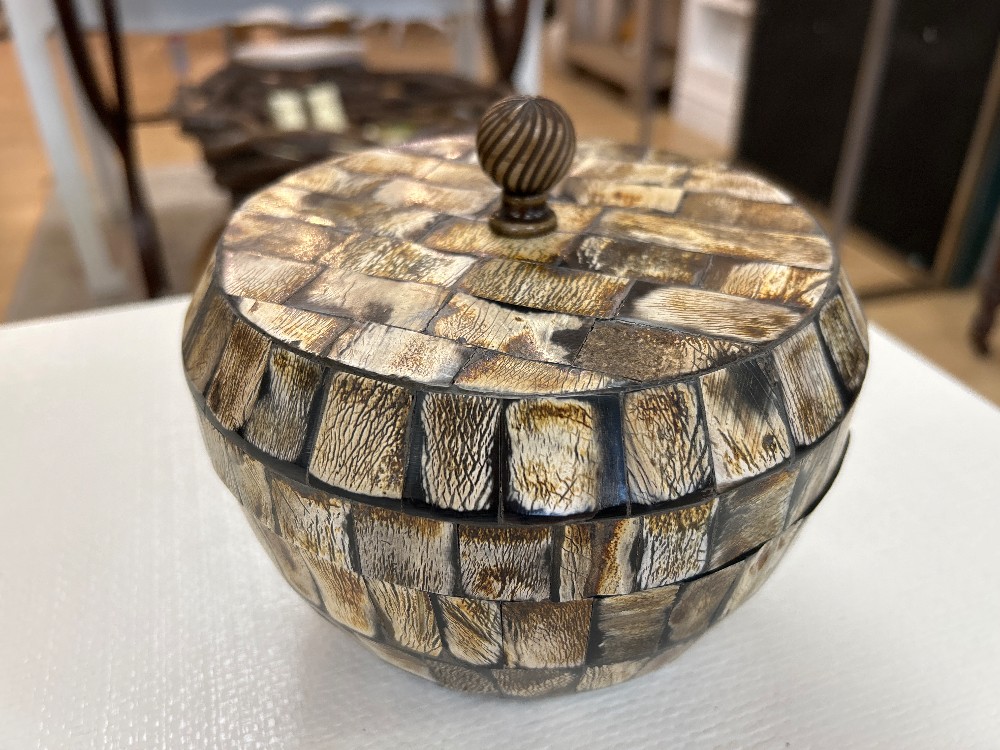 Faux Horn Decorative Box