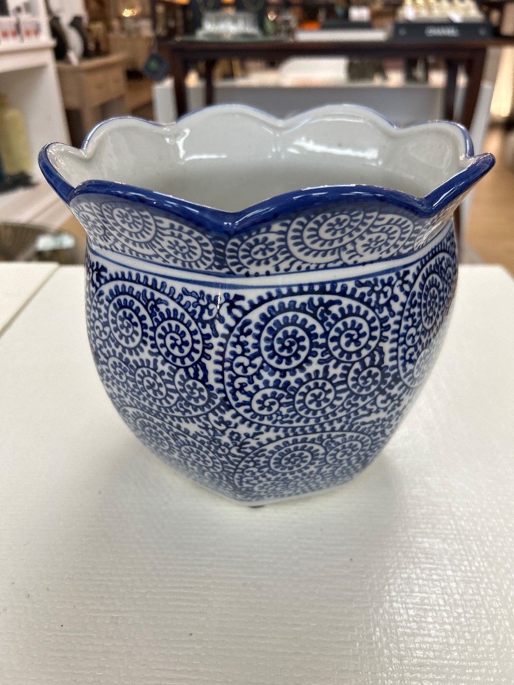 Blue & White Scalloped Ceramic Planter