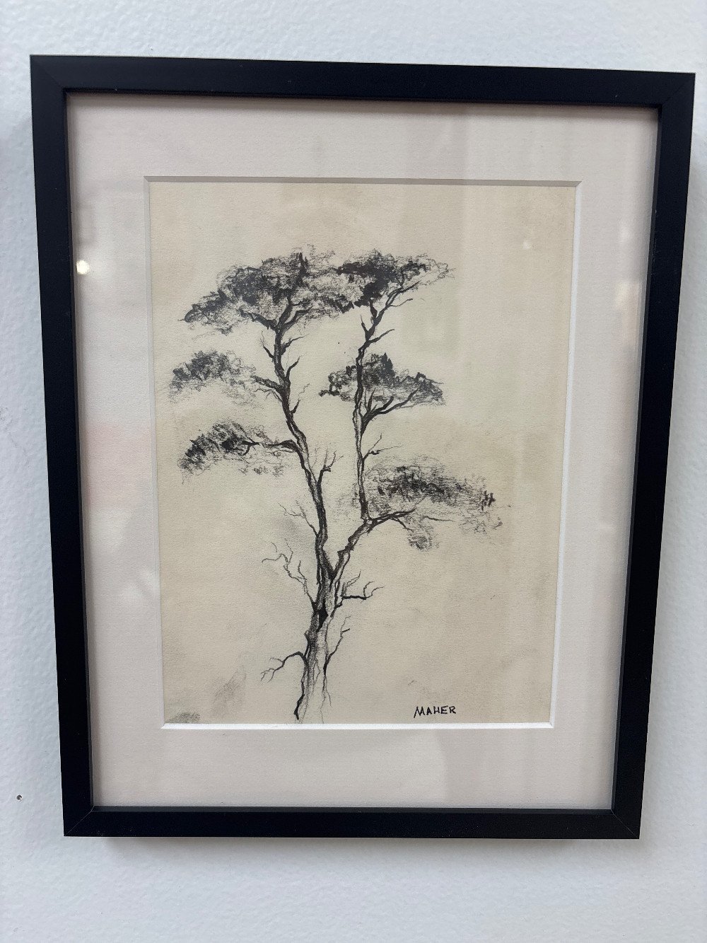 Tree Charcoal Sketch, Signed Maher