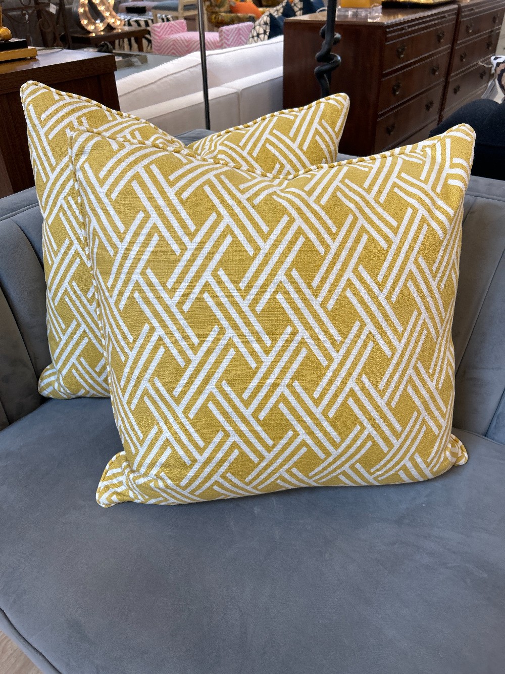 Kasmir Fabrics Canton Trellis Pillows, Pair