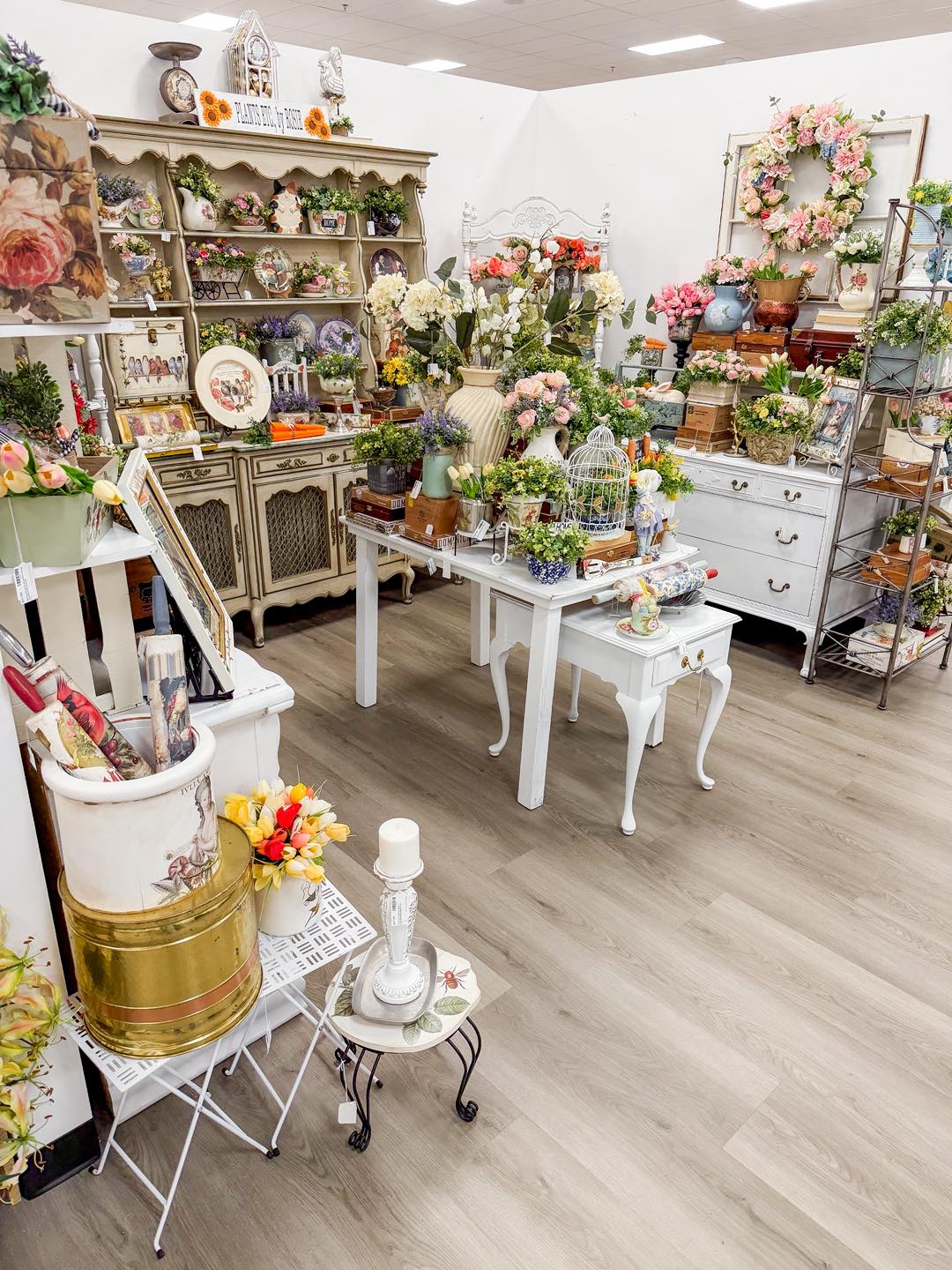 Plants, Etc. by Rosie