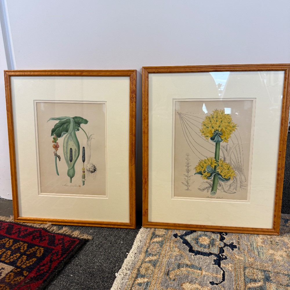 Prints