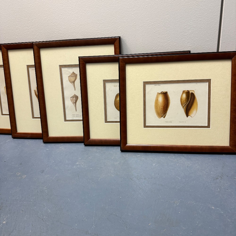 Prints