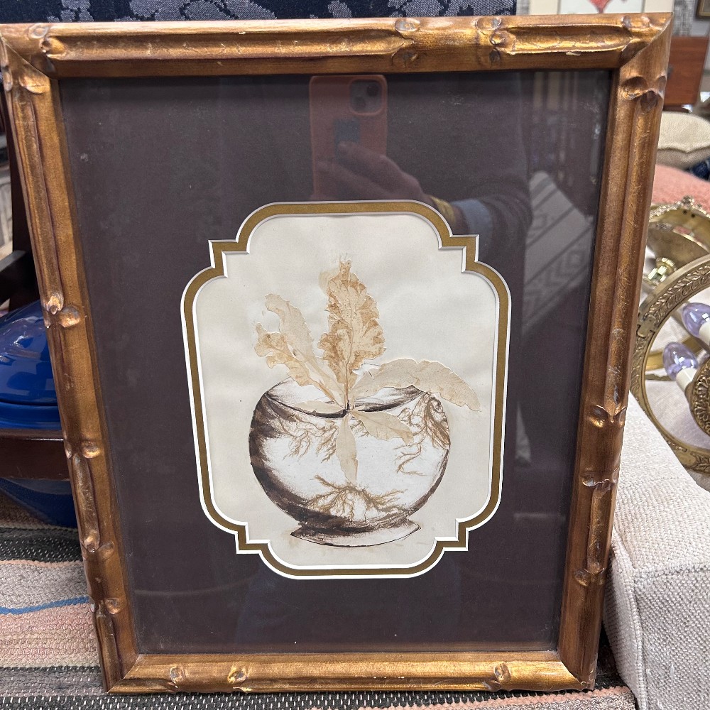 Paintings