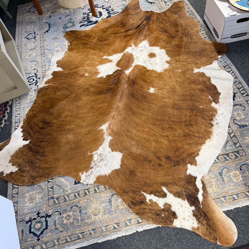 Medium Rugs