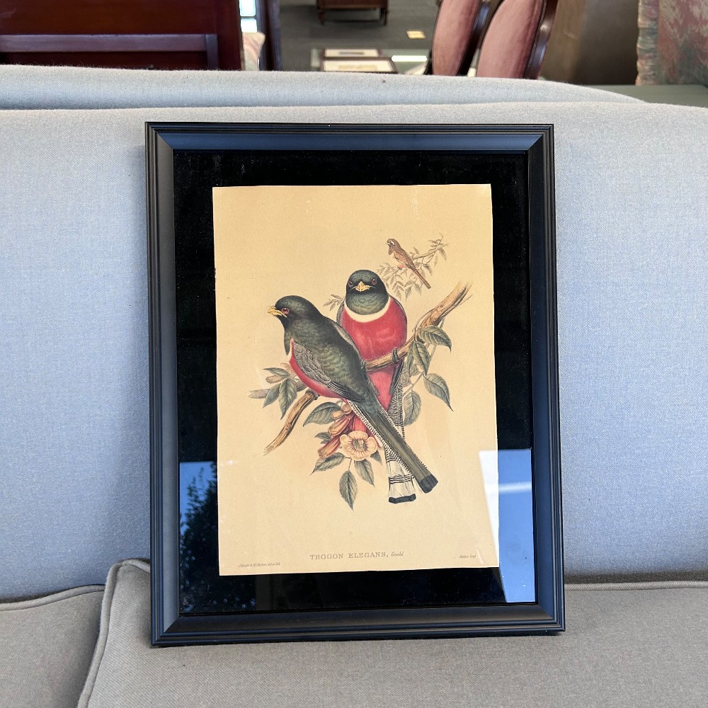 Prints