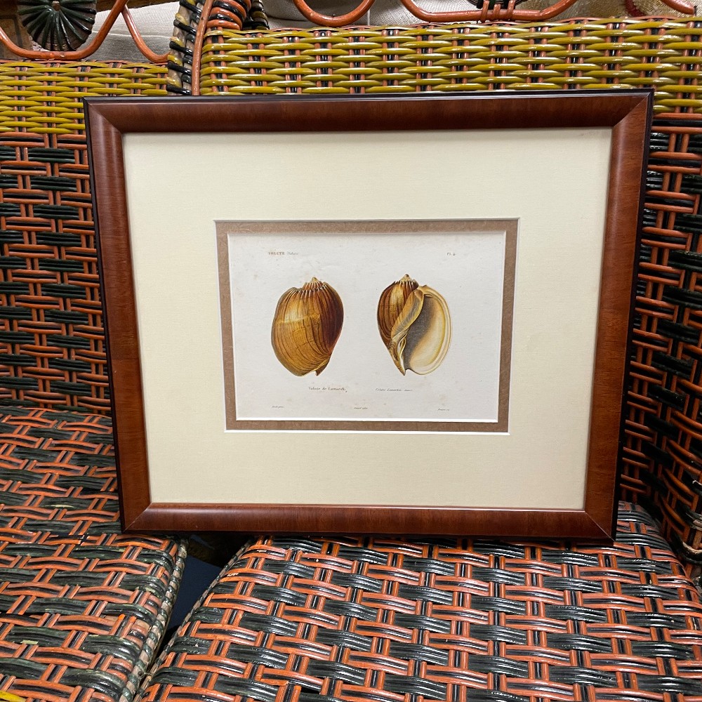 Prints