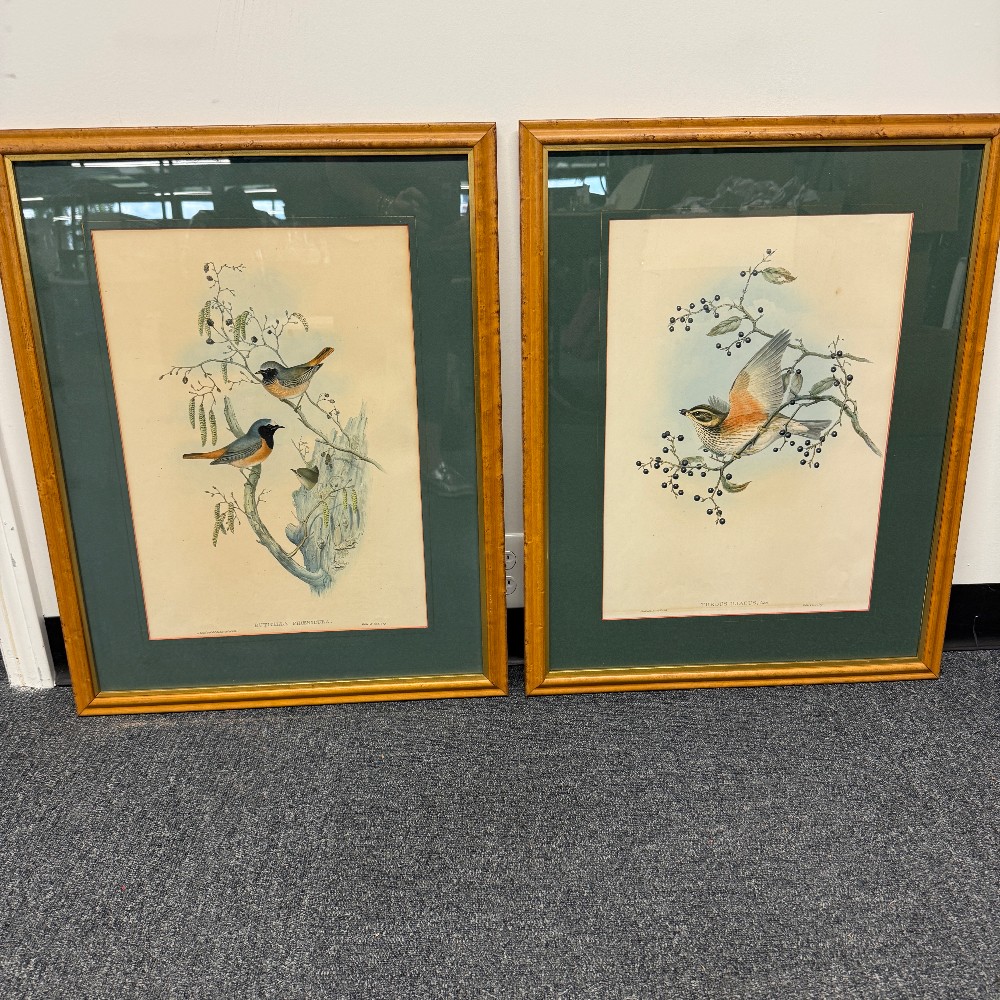 Prints