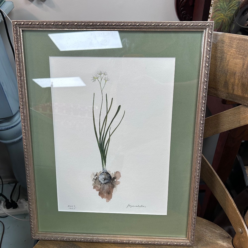 Paintings