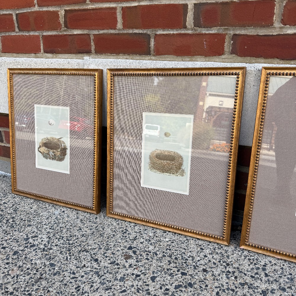 Prints
