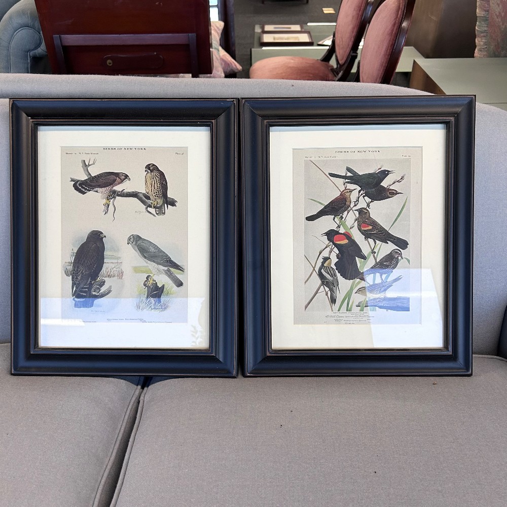 Prints