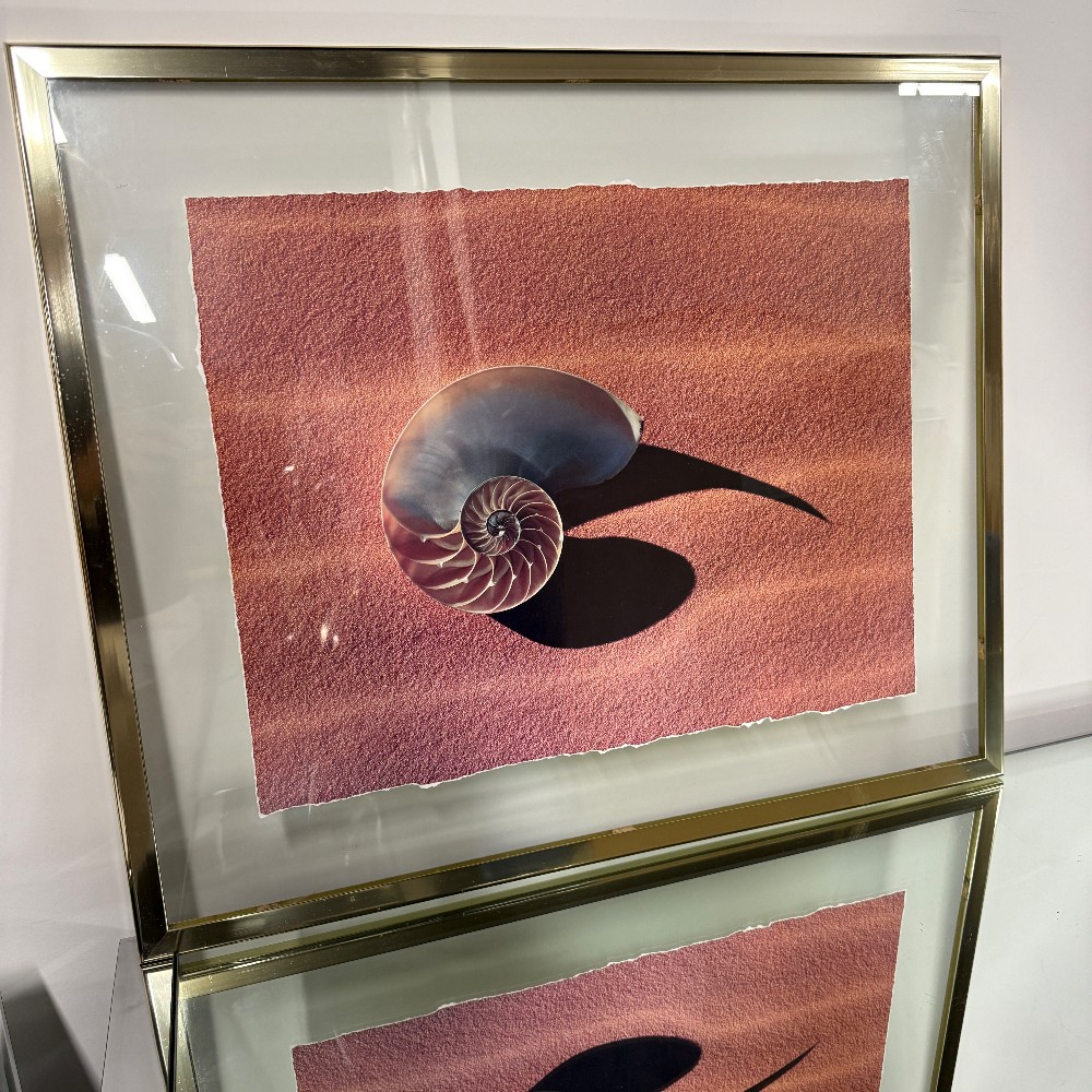 Prints