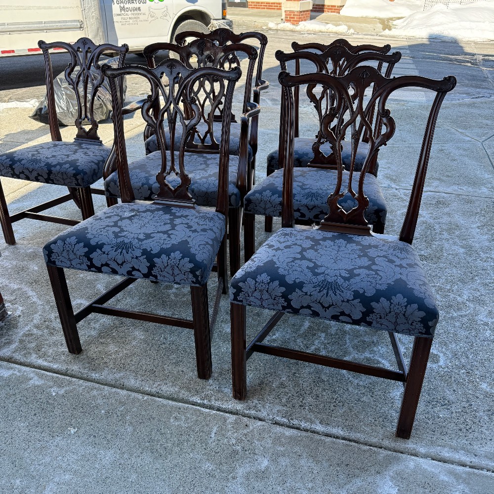 Dining Chairs
