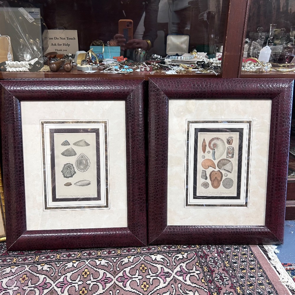 Prints