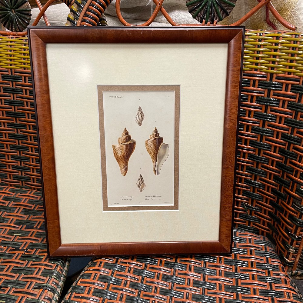 Prints
