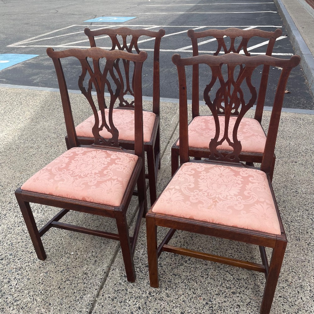 Dining Chairs