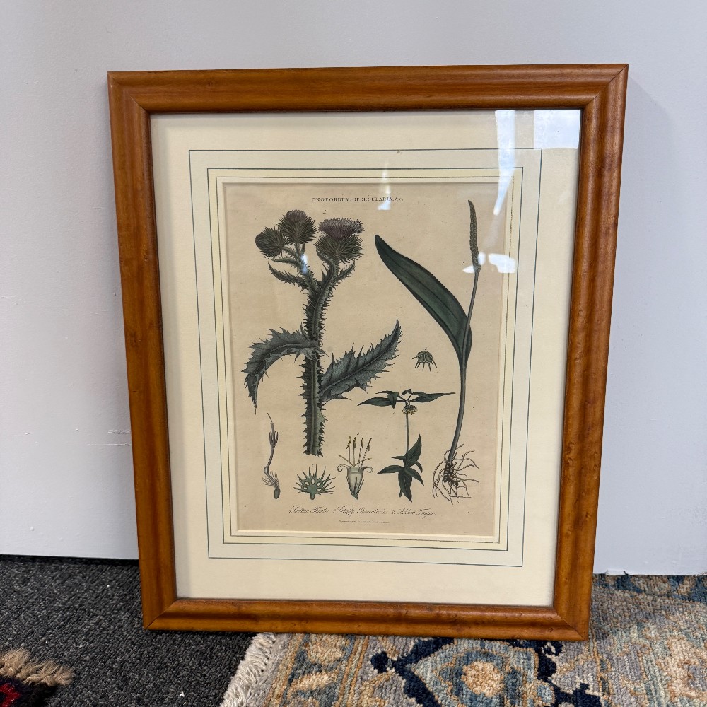 Antique Art