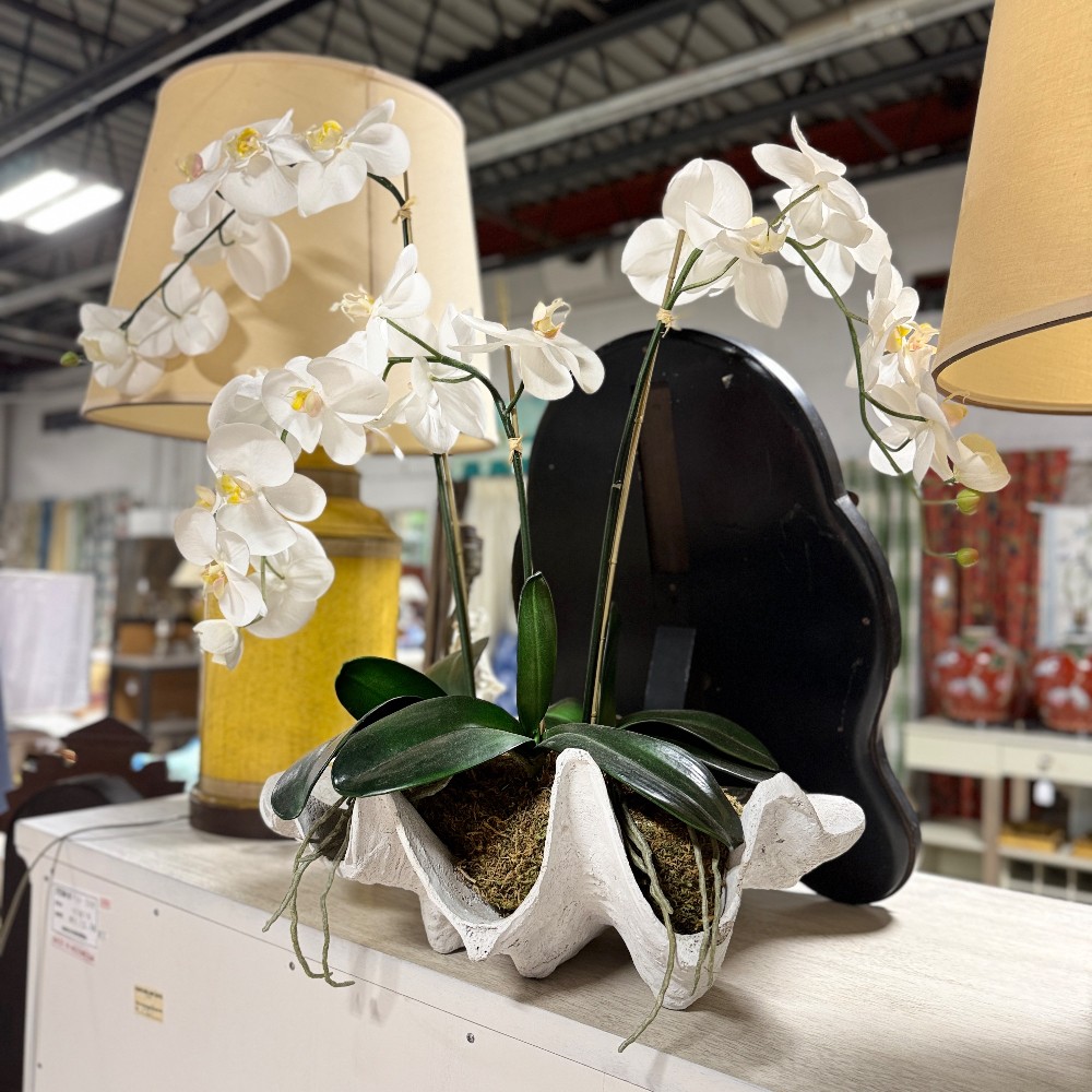 Home Decor