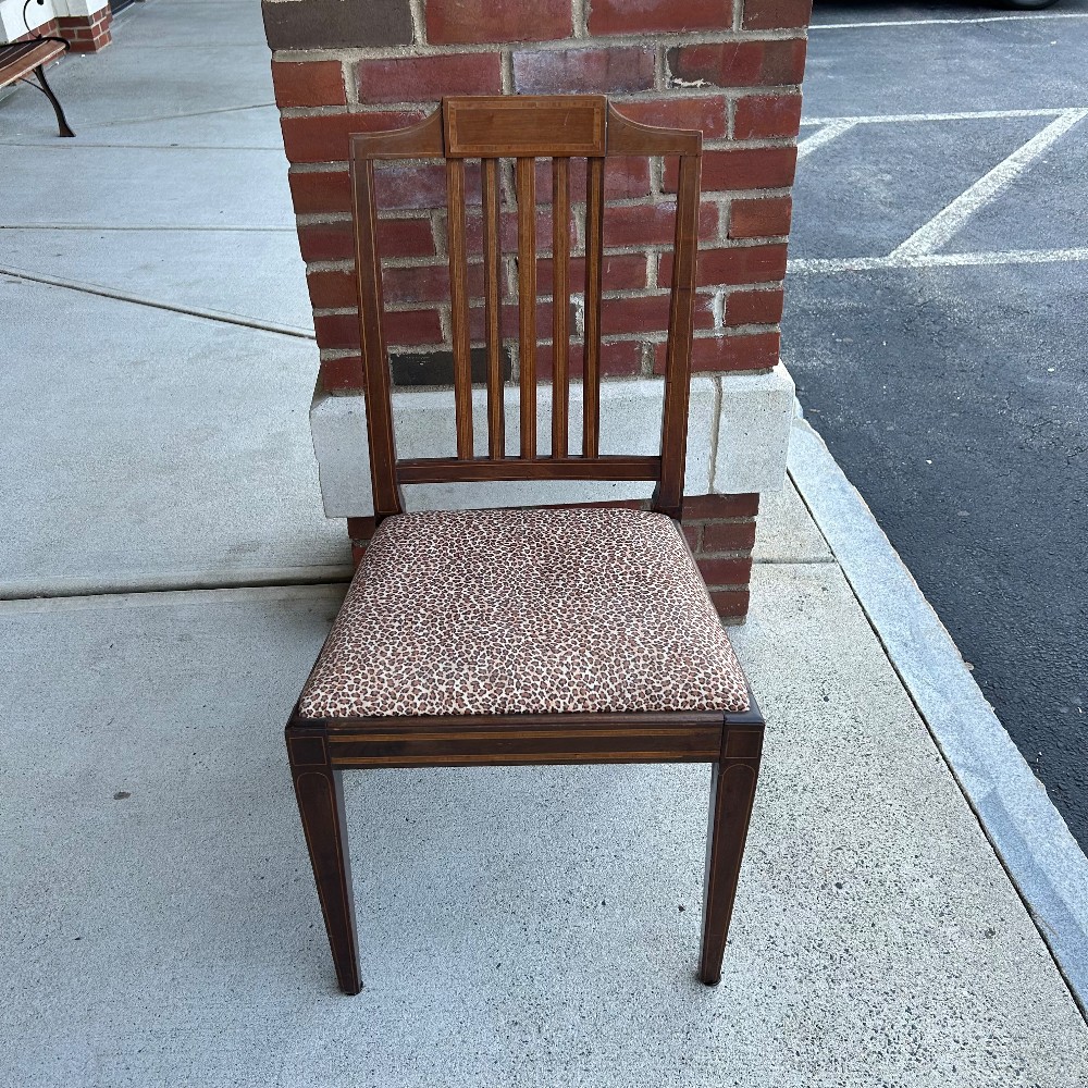 Dining Chairs