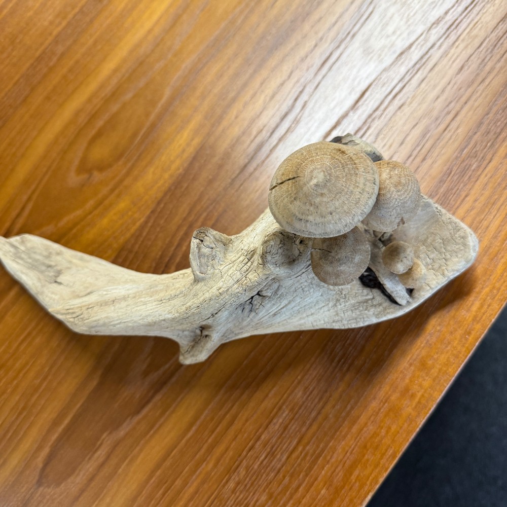 3-D/Sculpture