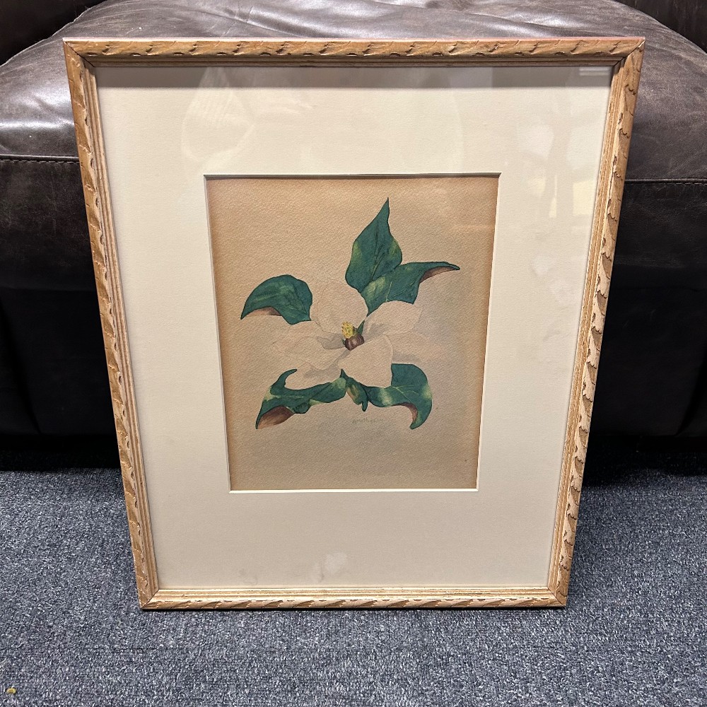 Paintings