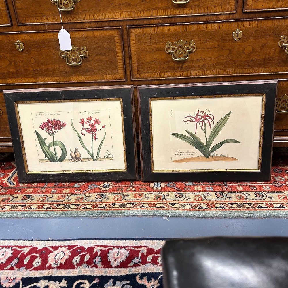 Prints