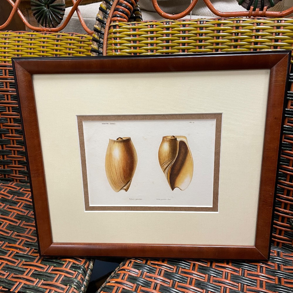 Prints