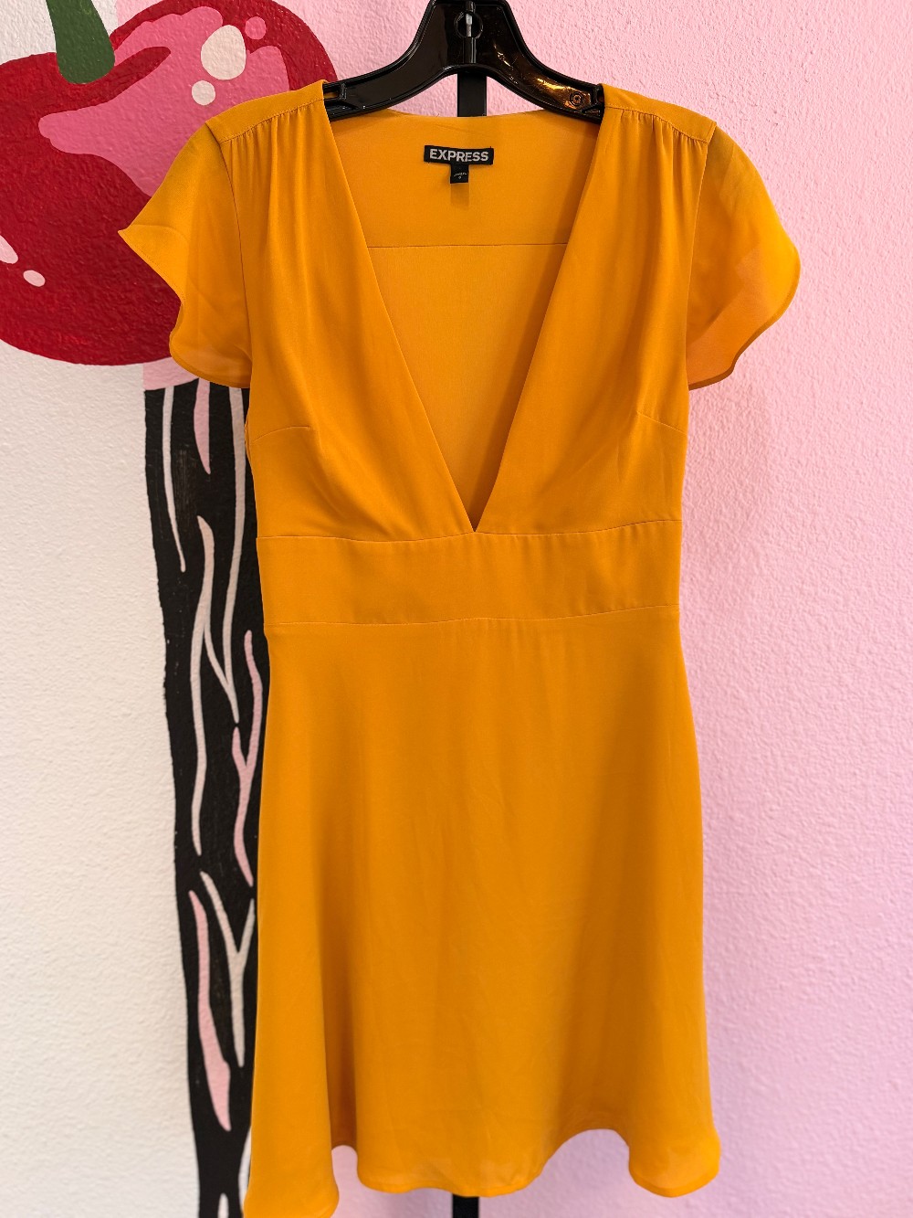 Express Deep V Neck Dress