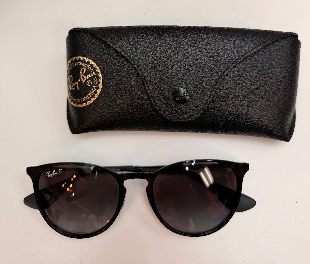 Ray-Ban Erica Metal Sunglasses w/Case
