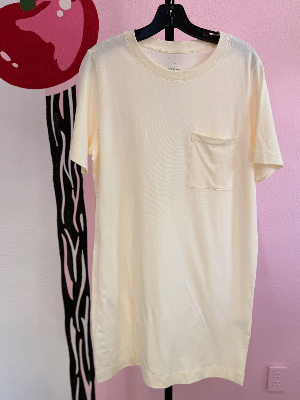 Everlane T Shirt Dress