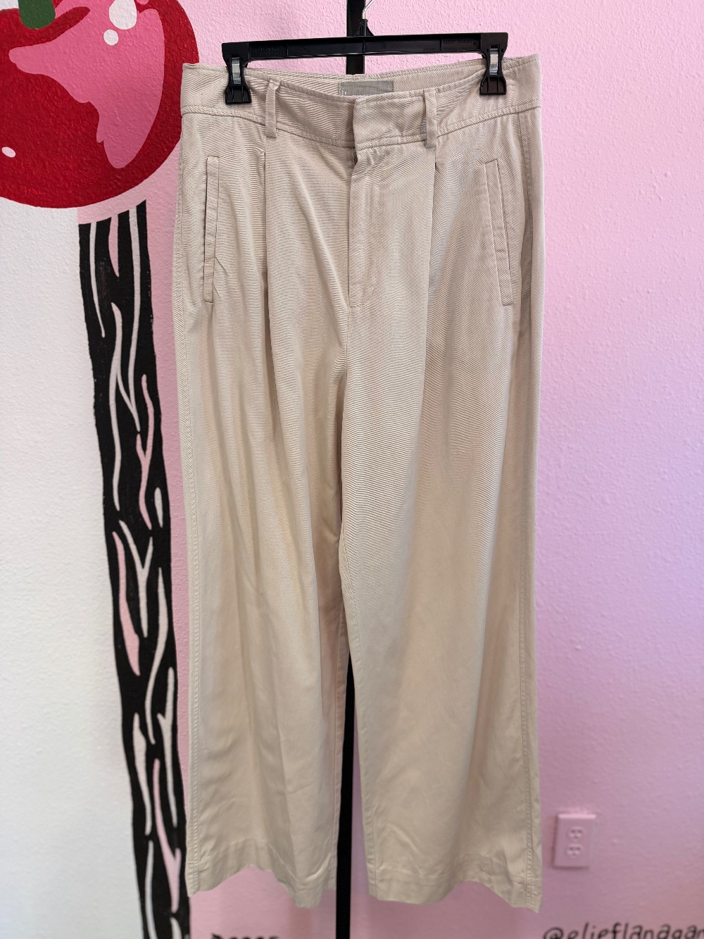 Everlane Pleated Chino Pant