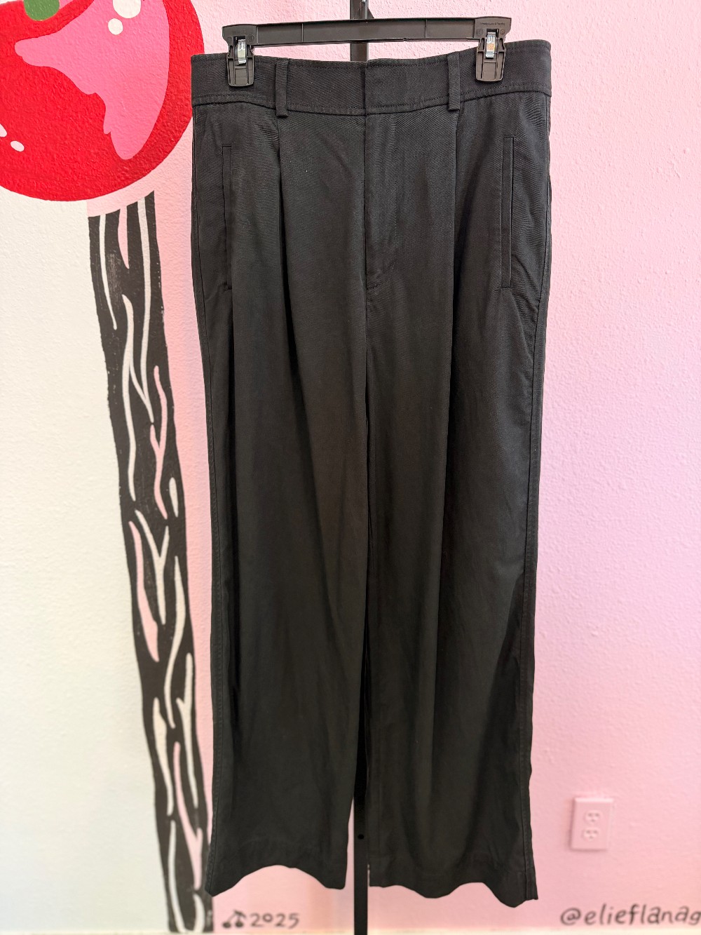 Everlane Pleated Chino Pant