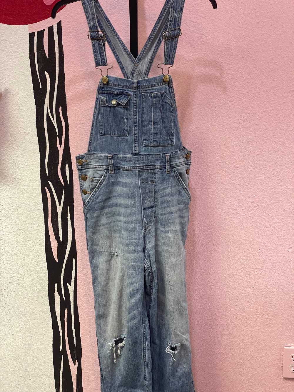 Pilcro Distressed Overalls