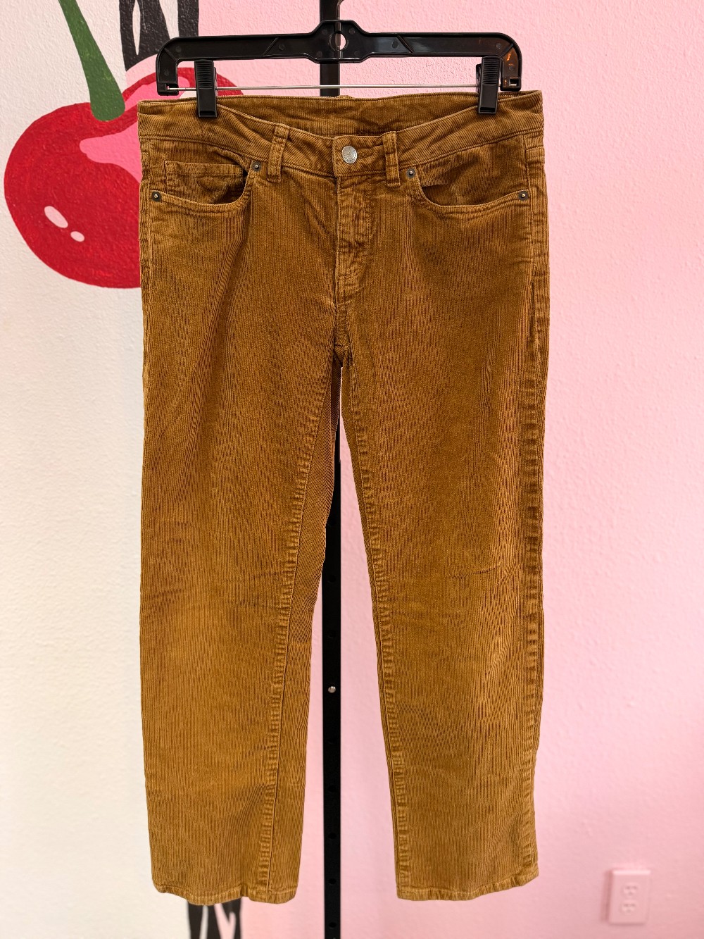 Patagonia Corduroy Pants