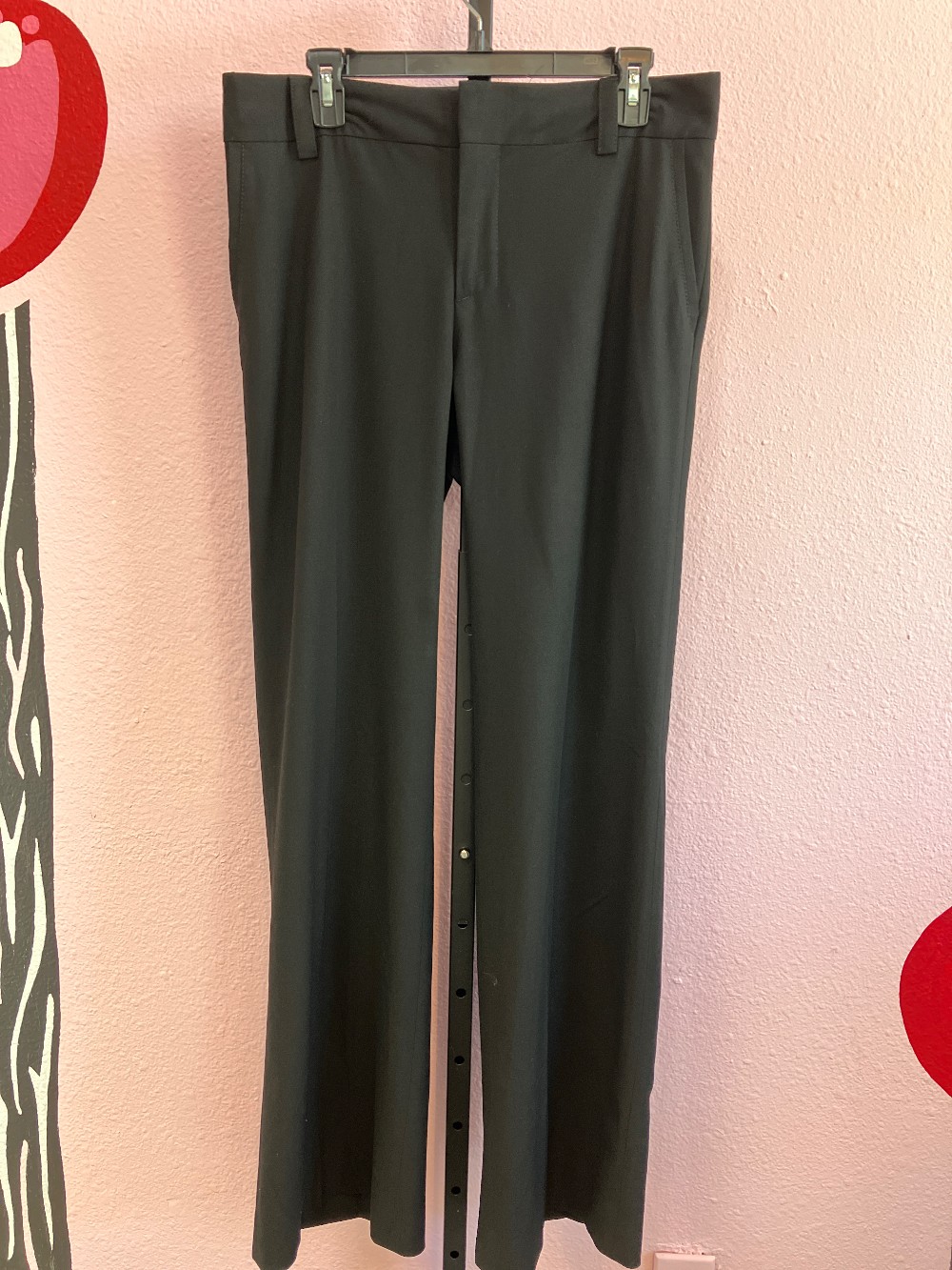 Zara Flat Front Slacks