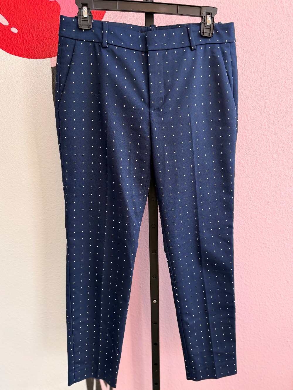 Zara Polka Dot Pants