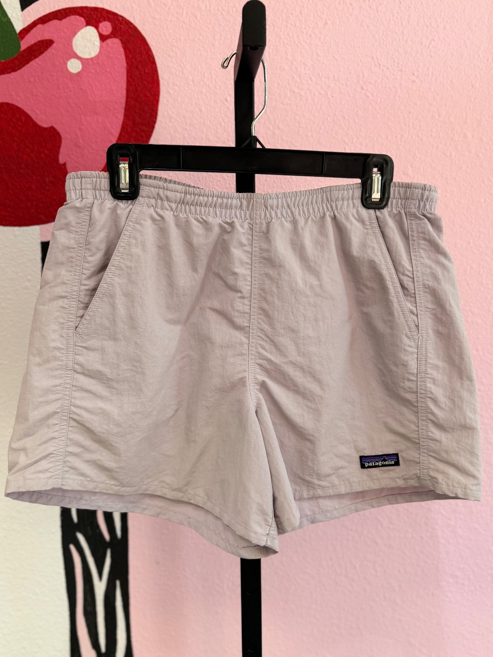 Patagonia Nylon Shorts