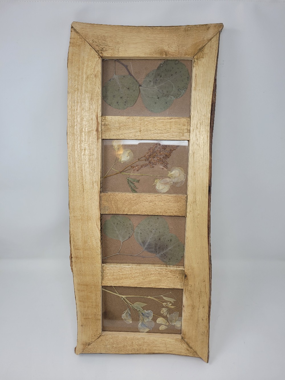 Rustic Framed Dried Botanicals