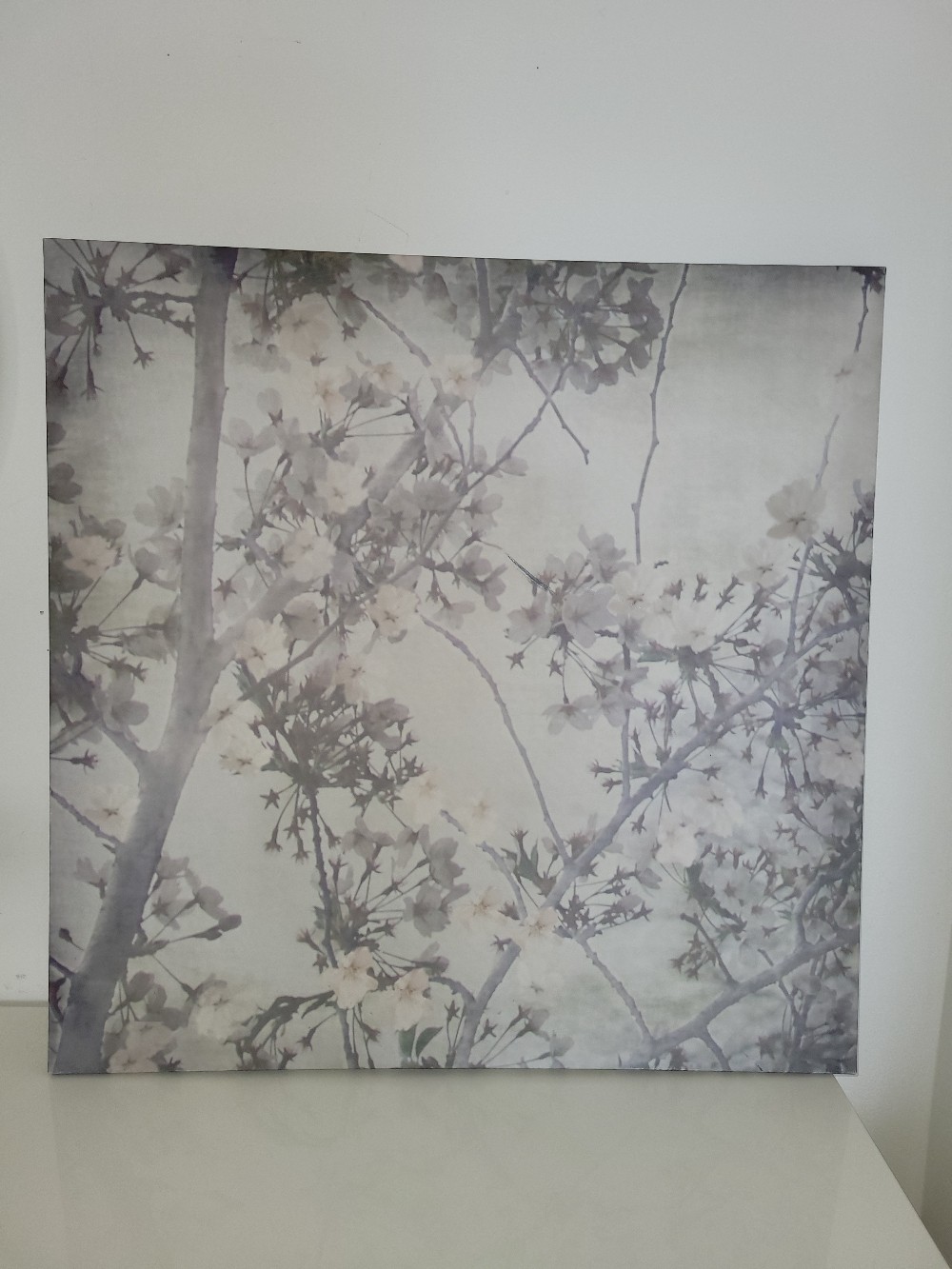 Apple Blossom Canvas