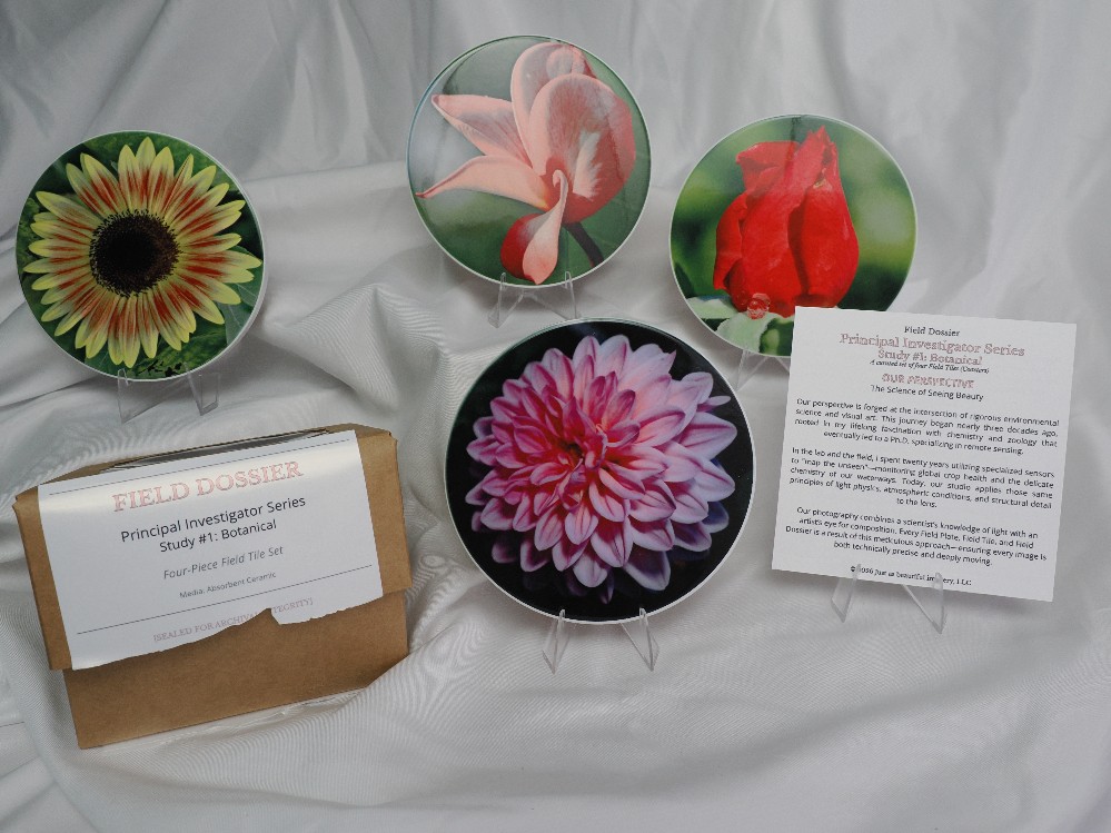 Field Dossier | Principal Investigator Series Study #1 - Botanical: Field Tiles