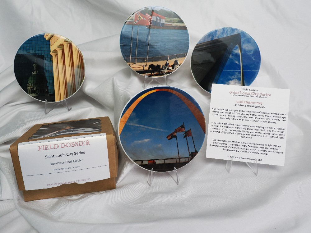 Field Dossier | Saint Louis City Series: Field Tiles