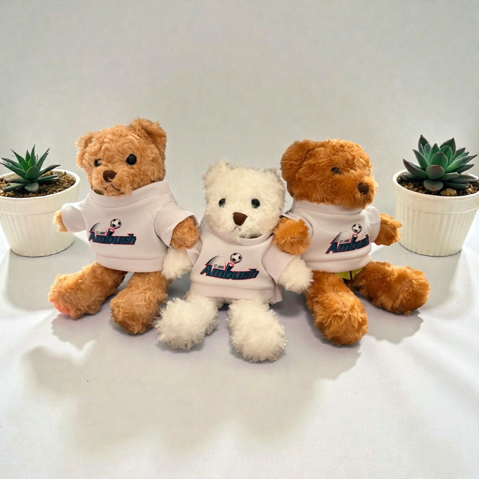 2025 Teddy Bear Toss - Online Pre Sale