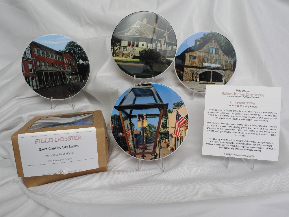 Field Dossier | Saint Charles City Series: Field Tiles