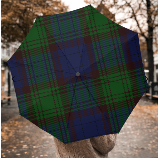 Plaid Umbrella
