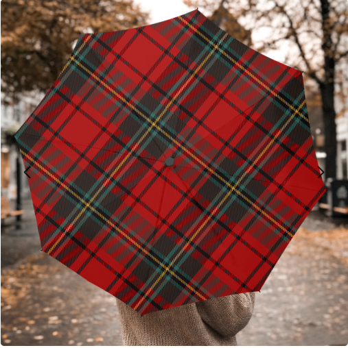 Plaid Umbrella