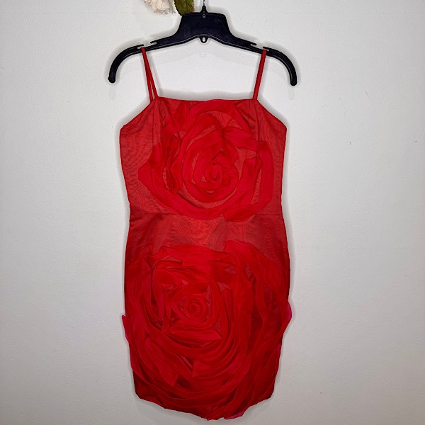 Designer Clothing