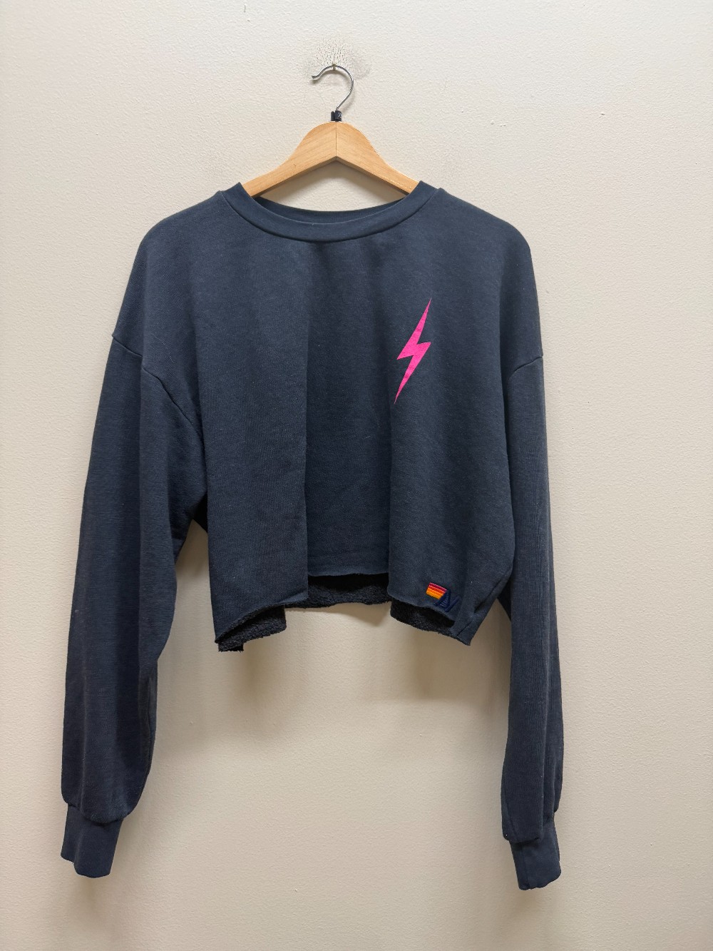 Aviator Nation sweatshirt