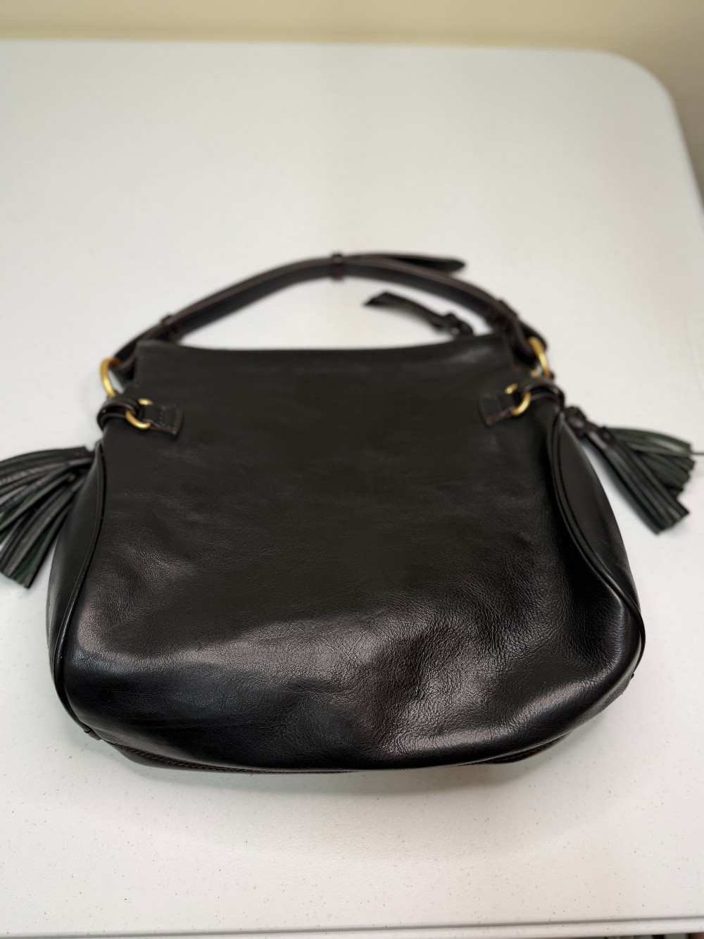 Dooney & Burke Florentine leather zip hobo bag