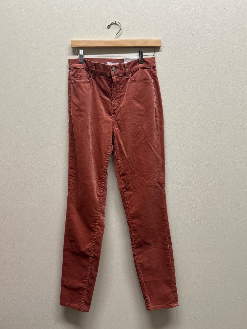 Anne Taylor velvet pants new with tags