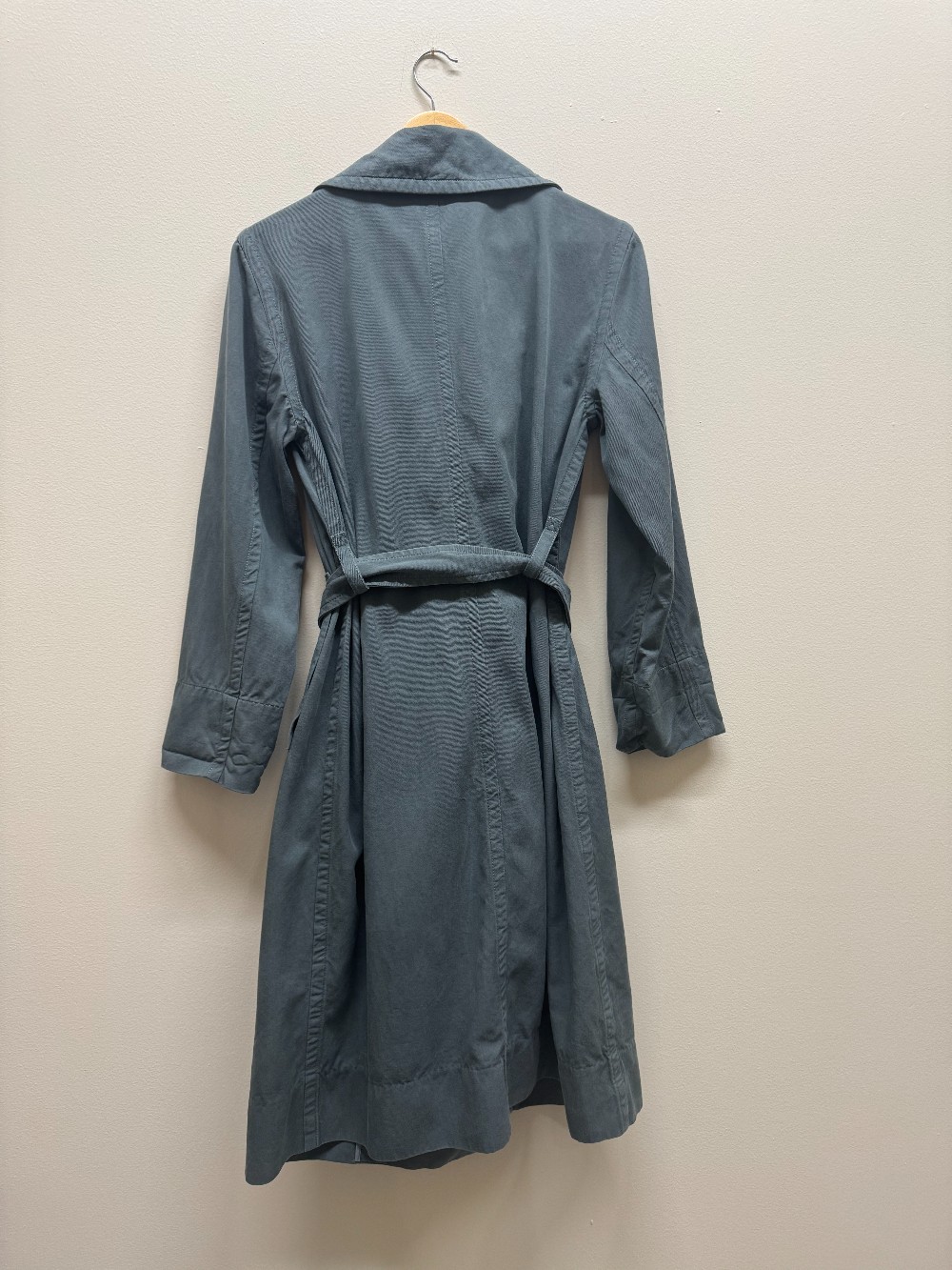 Everlane trench coat